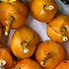 курсы фуршет