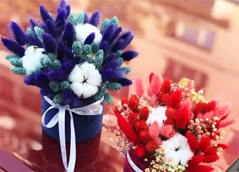 флористика курси